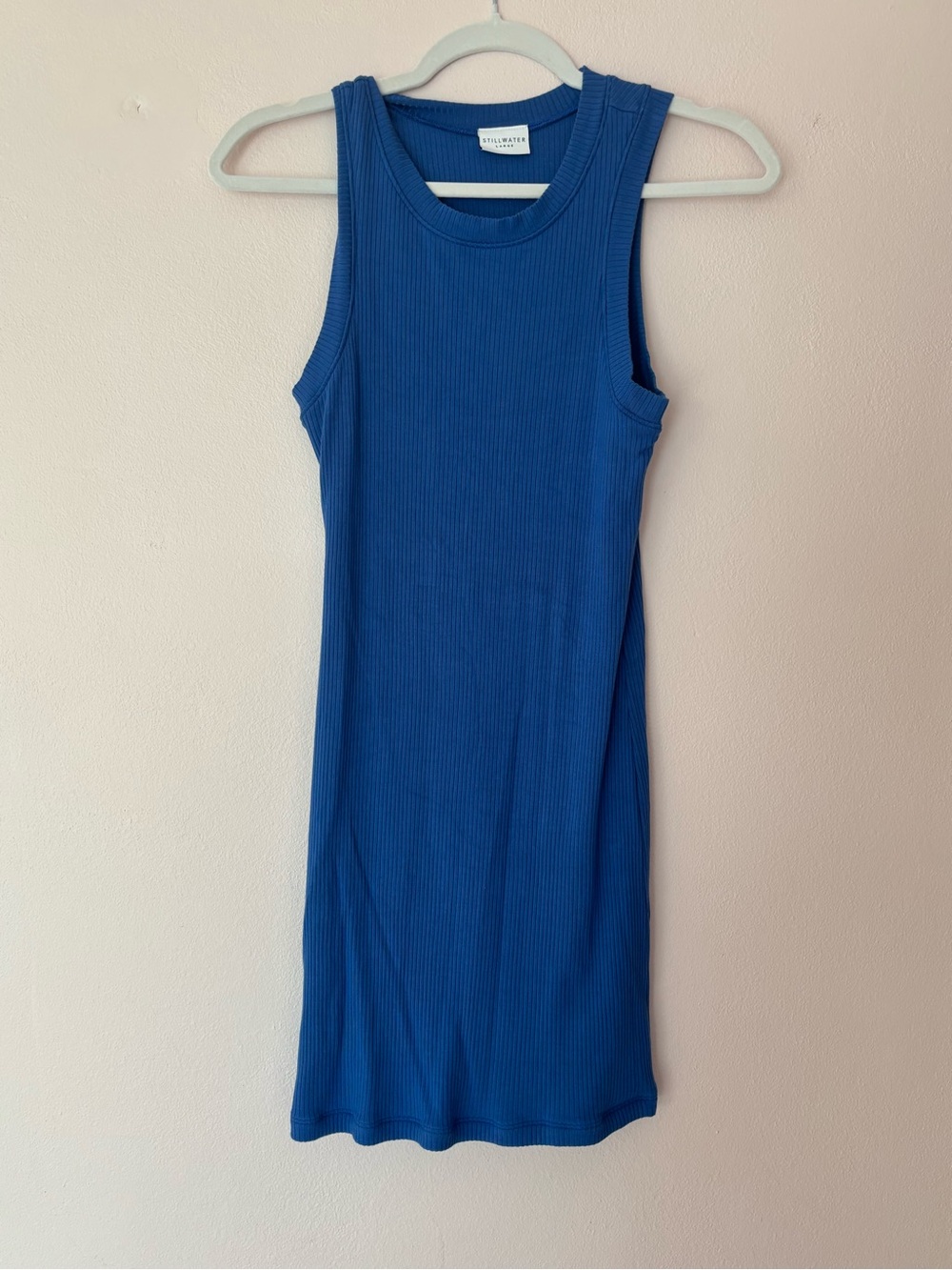 Sleeveless Ribbed Mini Dress in Blue by Wilfred Free